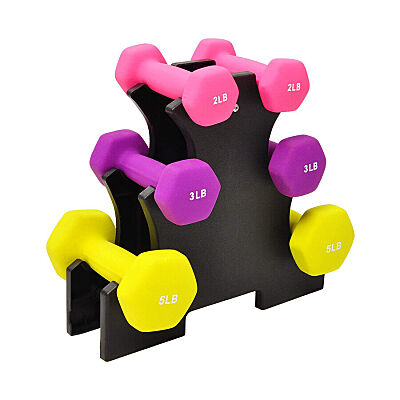 Gym Exercise Neoprene Dumbbell Fitness Free Hand Weight Set with Rack